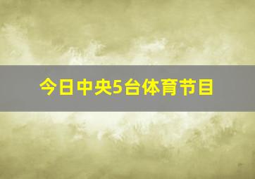 今日中央5台体育节目