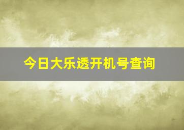 今日大乐透开机号查询