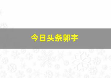 今日头条郭宇