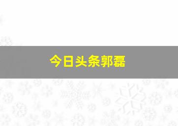 今日头条郭磊