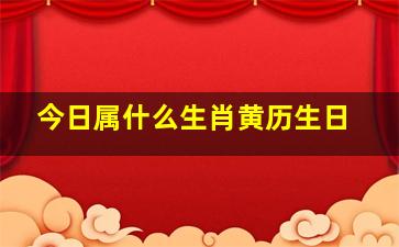 今日属什么生肖黄历生日