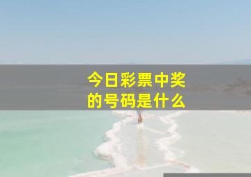 今日彩票中奖的号码是什么