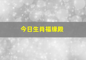 今日生肖福缘殿