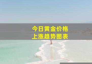 今日黄金价格上涨趋势图表