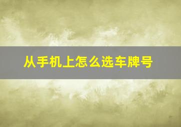 从手机上怎么选车牌号