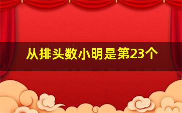 从排头数小明是第23个