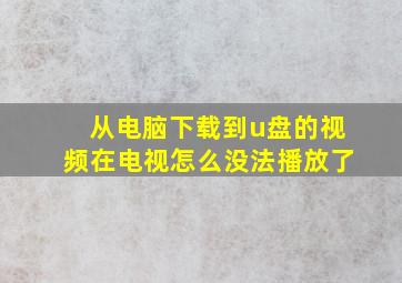 从电脑下载到u盘的视频在电视怎么没法播放了