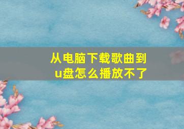 从电脑下载歌曲到u盘怎么播放不了