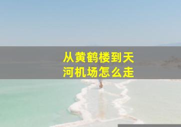 从黄鹤楼到天河机场怎么走