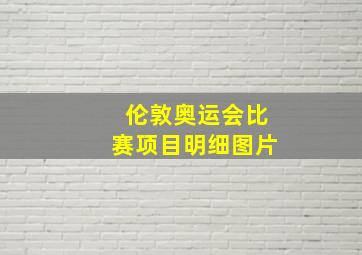 伦敦奥运会比赛项目明细图片