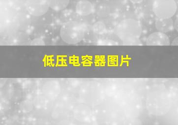 低压电容器图片