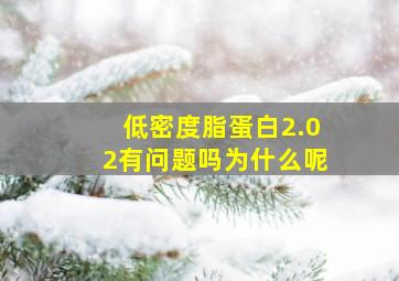 低密度脂蛋白2.02有问题吗为什么呢