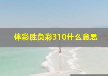 体彩胜负彩310什么意思