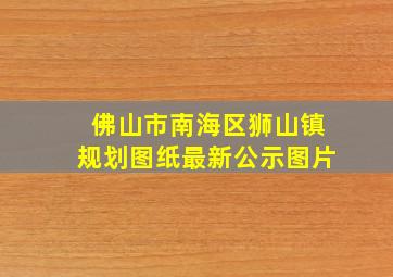 佛山市南海区狮山镇规划图纸最新公示图片