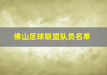 佛山足球联盟队员名单