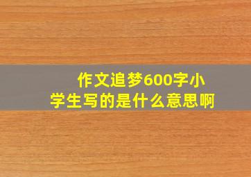 作文追梦600字小学生写的是什么意思啊