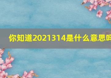 你知道2021314是什么意思吗