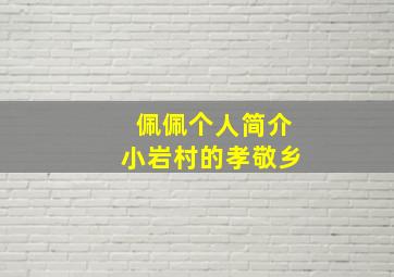 佩佩个人简介小岩村的孝敬乡