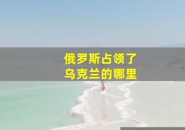 俄罗斯占领了乌克兰的哪里