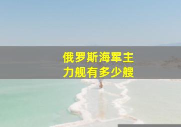 俄罗斯海军主力舰有多少艘