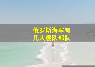 俄罗斯海军有几大舰队部队