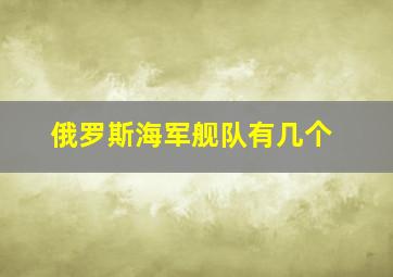 俄罗斯海军舰队有几个