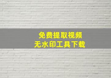 免费提取视频无水印工具下载