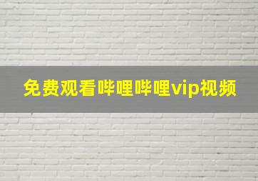 免费观看哔哩哔哩vip视频