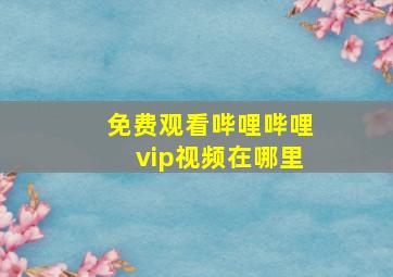 免费观看哔哩哔哩vip视频在哪里