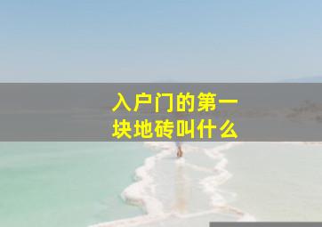 入户门的第一块地砖叫什么