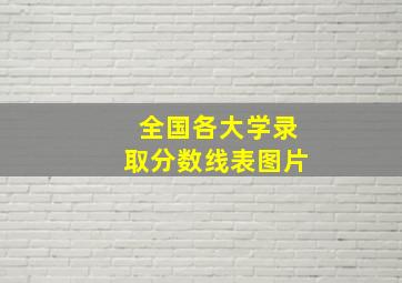 全国各大学录取分数线表图片