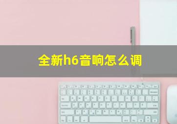 全新h6音响怎么调