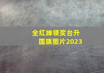 全红婵领奖台升国旗图片2023