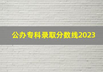 公办专科录取分数线2023