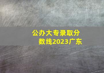 公办大专录取分数线2023广东