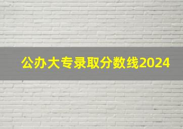 公办大专录取分数线2024