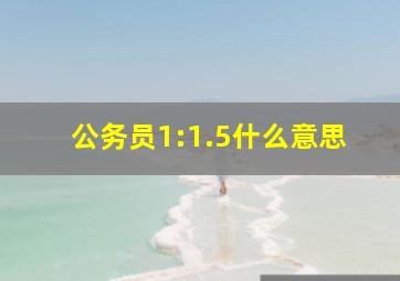 公务员1:1.5什么意思