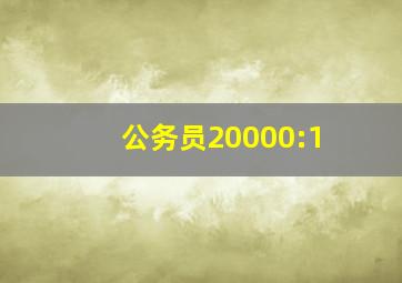 公务员20000:1