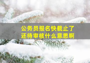 公务员报名快截止了还待审核什么意思啊