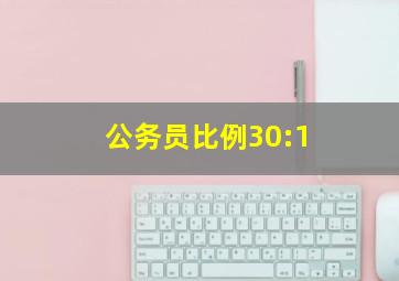 公务员比例30:1