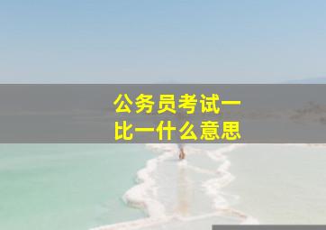 公务员考试一比一什么意思