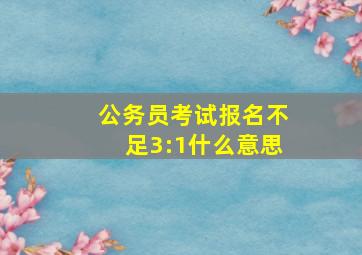 公务员考试报名不足3:1什么意思