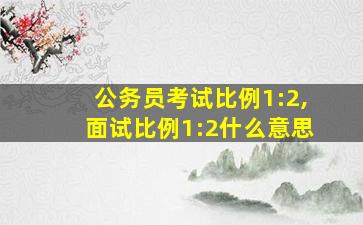 公务员考试比例1:2,面试比例1:2什么意思