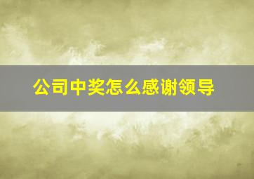 公司中奖怎么感谢领导