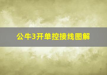 公牛3开单控接线图解