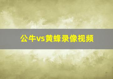 公牛vs黄蜂录像视频