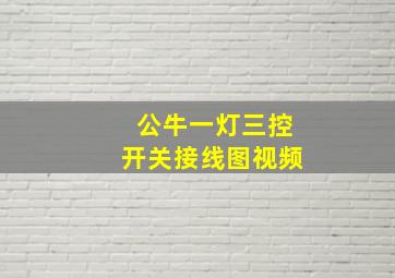 公牛一灯三控开关接线图视频