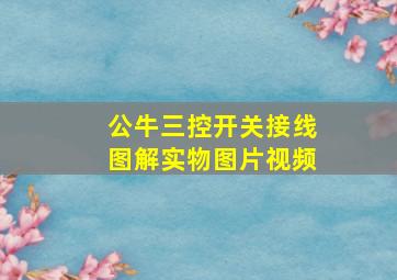 公牛三控开关接线图解实物图片视频