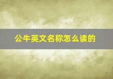 公牛英文名称怎么读的