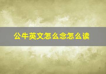 公牛英文怎么念怎么读